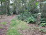 Drielandsteen Twente Salland Bentheim